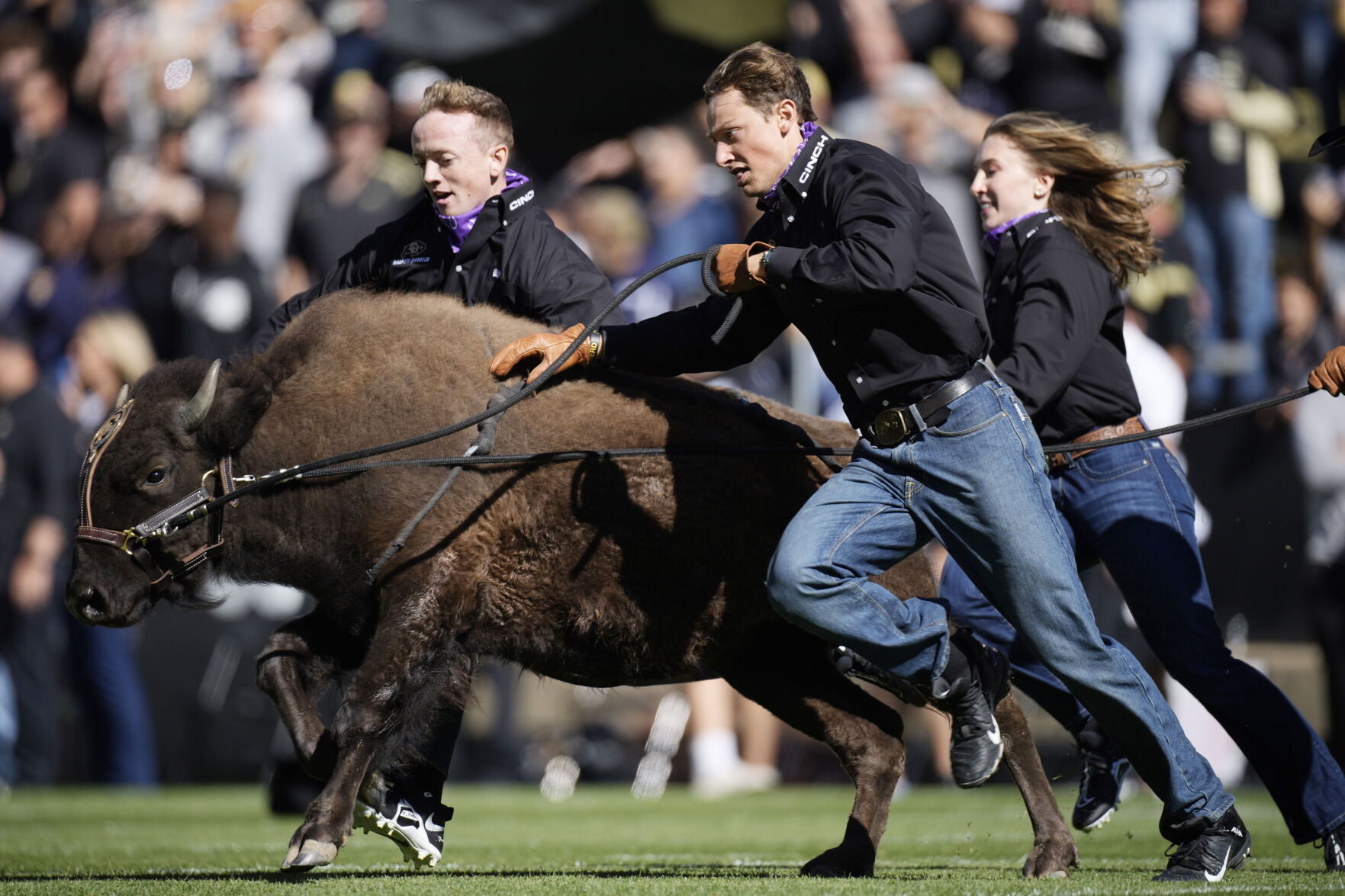 Arizona Colorado Football